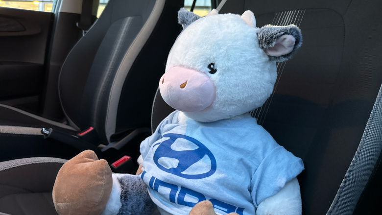 Hyundai i10 1.0 MPi SE Connect 5dr Petrol Hatchback